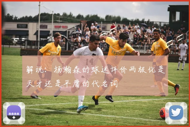 解说：杨瀚森的球迷评价两极化是天才还是平庸的代名词