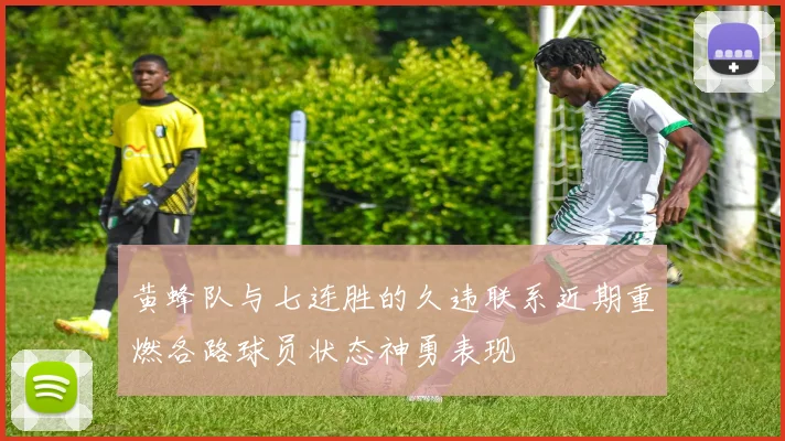 黄蜂队与七连胜的久违联系近期重燃各路球员状态神勇表现